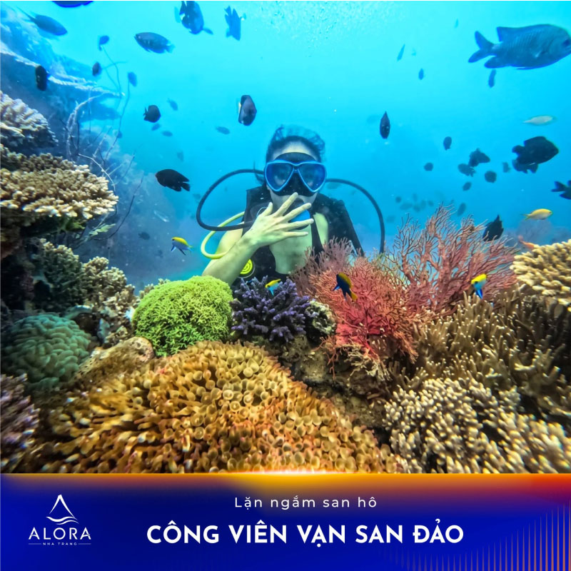 Chạm Tay Vào Đại Dương Tại Công Viên Vạn San Đảo